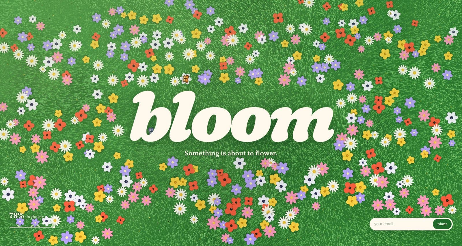 Bloom — web piece preview